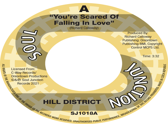 The Hill District - Your Scared Of Falling In Love