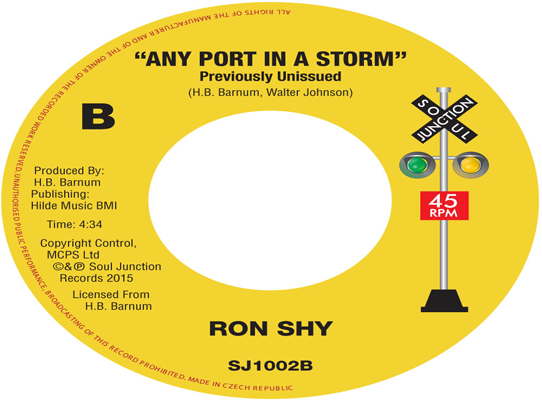 Ron Shy - Any Port In A Storm